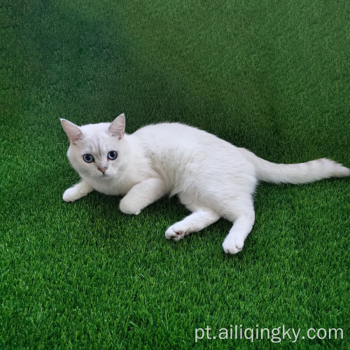 Grama falsa para cães gatos